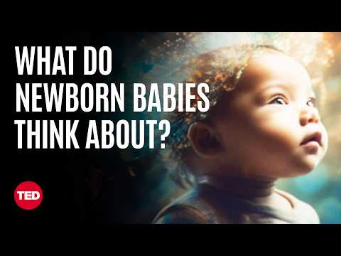 Inside the Mind of a Newborn Baby | Claudia Passos Ferreira | TED