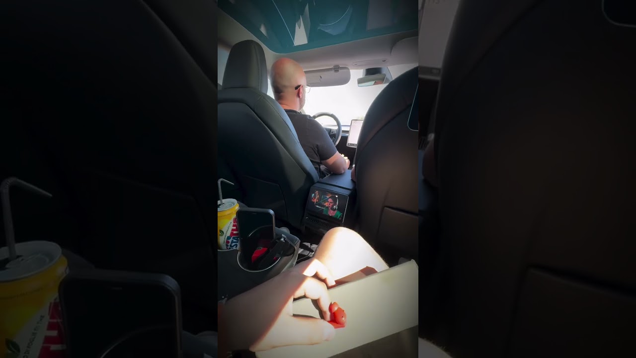 Viaggio con Tesla Model 3 🚗