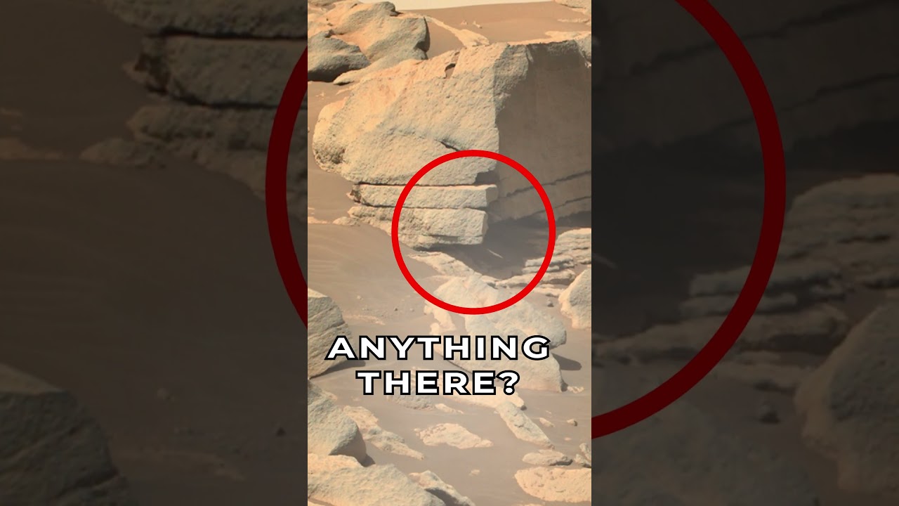 Mars Rover Perseverance SOL 205 Snapshot 🛸