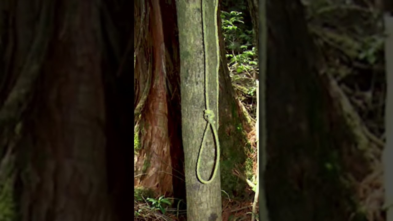 El Bosque Siniestro de los Suicidas | Shorts