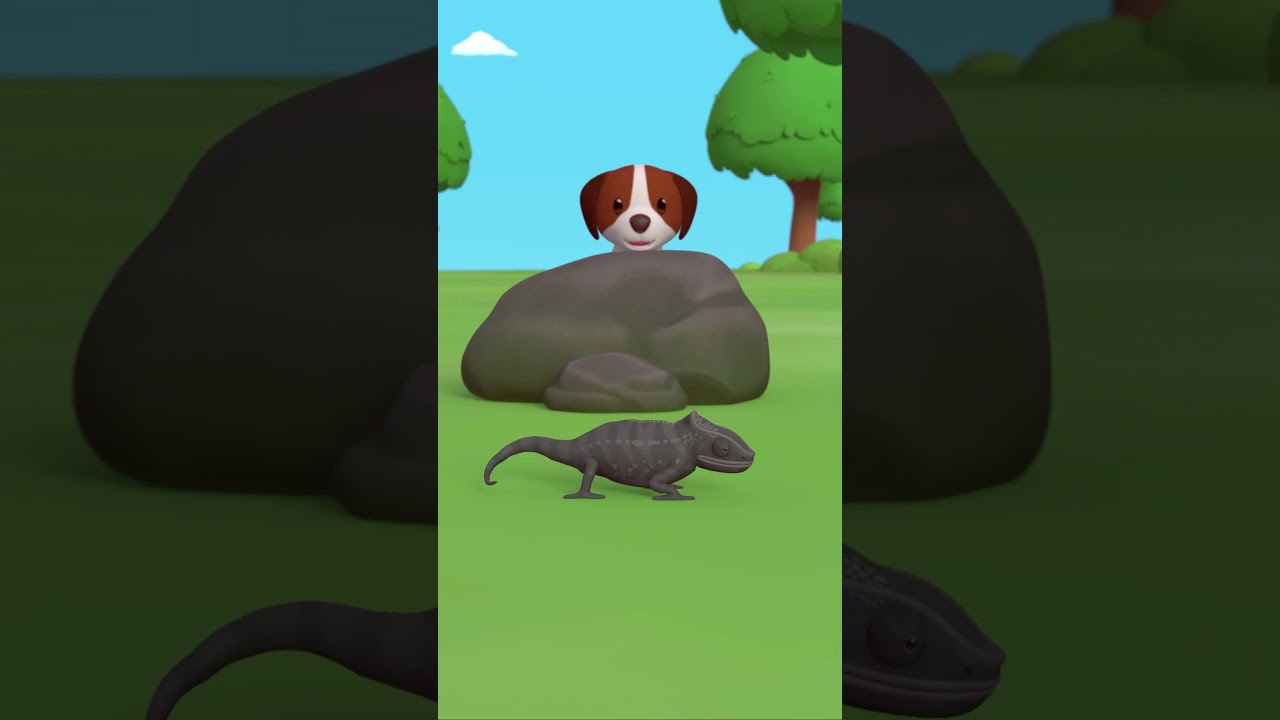 Find the Camouflaged Chameleon! 🦎 | Leo the Wildlife Ranger | #shorts #animals #fun
