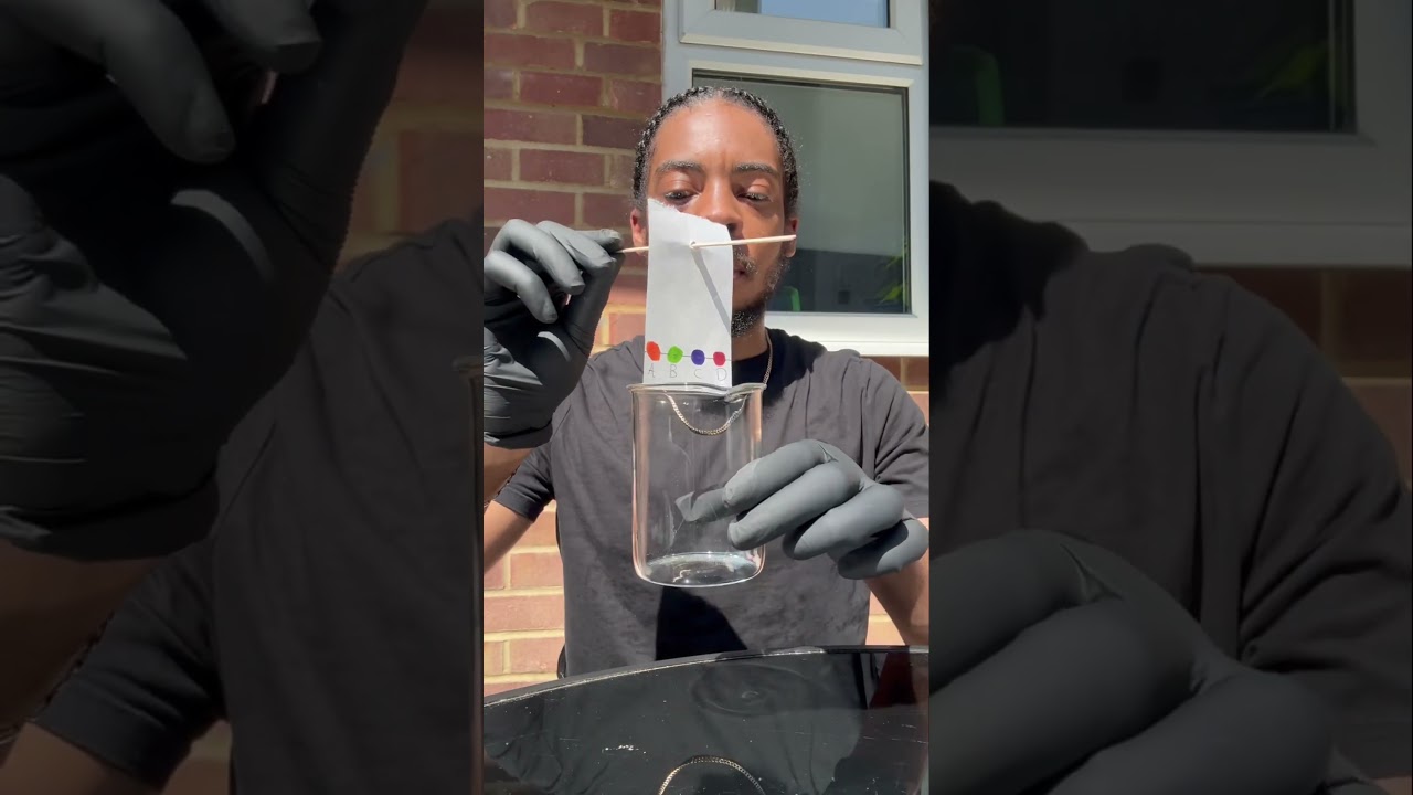 Chromatography Experiment from ‘Science is Lit’ 🌟