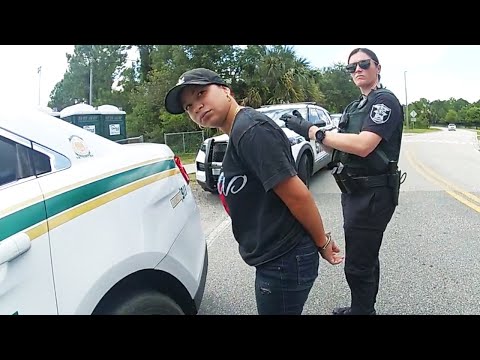 The Most Stubborn Driver Ever Gets Herself Arrested