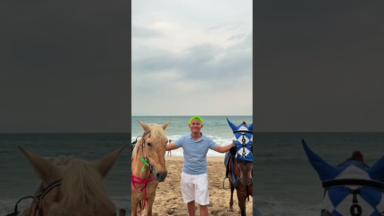 OMPED VISUAL | 4 SECONDS of Stunning Creativity 🎨