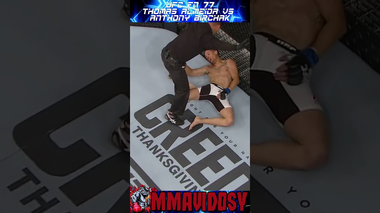 🔥 Жесткий нокаут в UFC FN 77: Almeida против Birchak