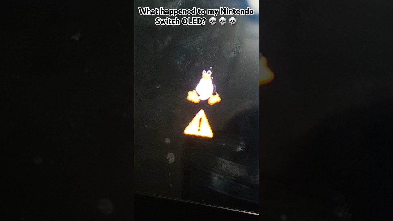 Issue with Bro's Nintendo OLED Device