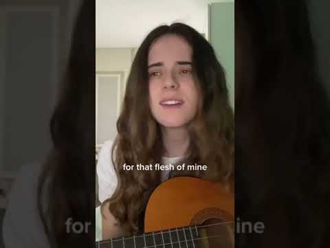 She Wolf (Falling to Pieces) Cover by David Guetta 🎶