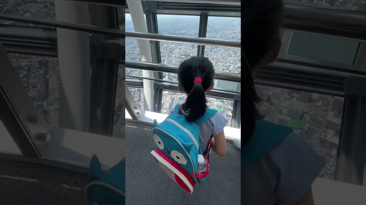 Tokyo Skytree: 450m View of Tokyo 🌆