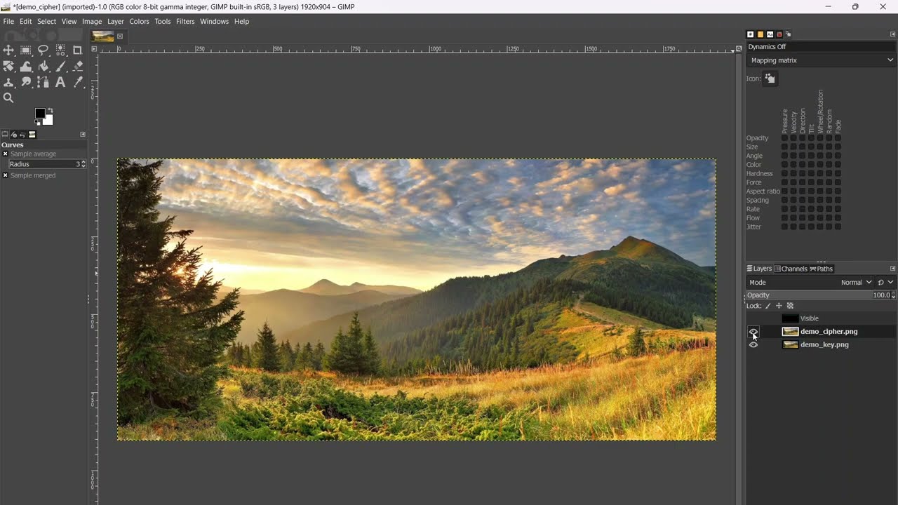 Watch a Live Demo of Pixel-Based Image Steganography 🎨