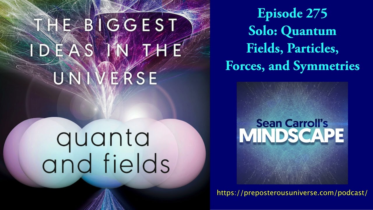 Mindscape 275 | Quantum Fields & Symmetries