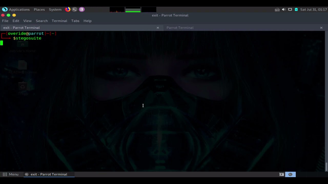 Steganography Tutorial for Windows: Using StegApt, Steghide & More in Hindi 🔐