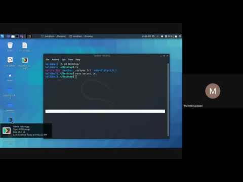 Cryptography and Steganography (Lab Session)