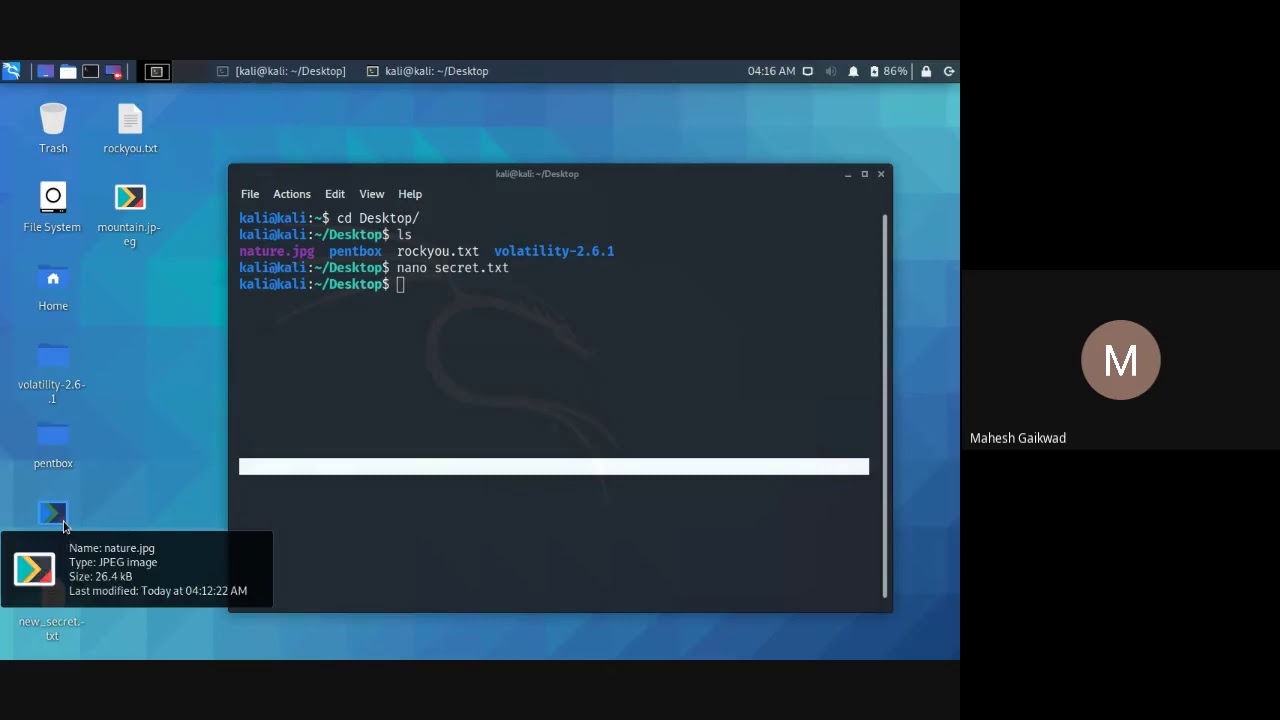 Hands-On Lab: Mastering Cryptography & Steganography 🔐
