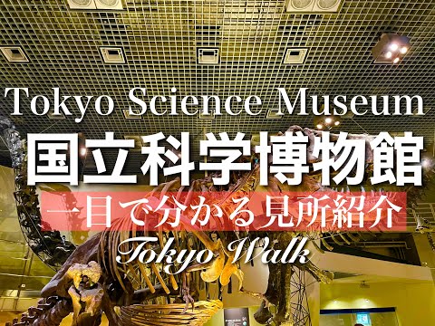 【国立科学博物館】360シアターは迫力のアトラクション!一目でわかる!無料日・お得・カフェ・穴場情報!音声・字幕解説(English OK)/Tokyo Science Museum