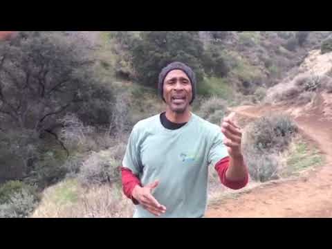 Award Winning Web Series - Heads Up