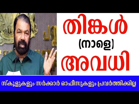 തിങ്കൾ അവധി Tomorrow November 3 Holiday kerala school|Heavy rain|Education|Shabz style