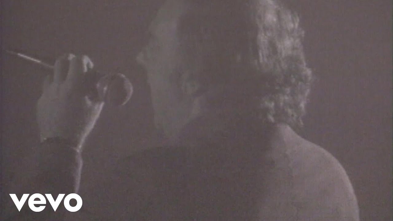 Van Morrison - Real Real Gone (Official Video) ๐ถ