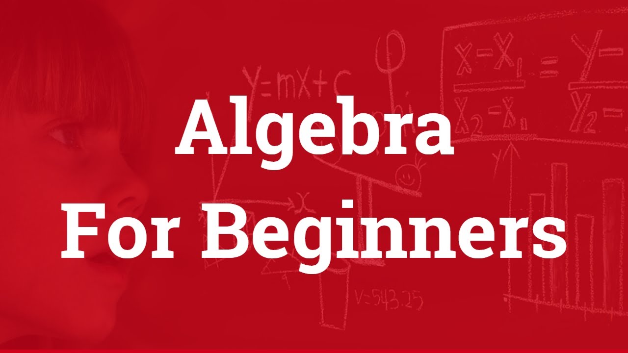 Algebra Basics for Beginners 📘