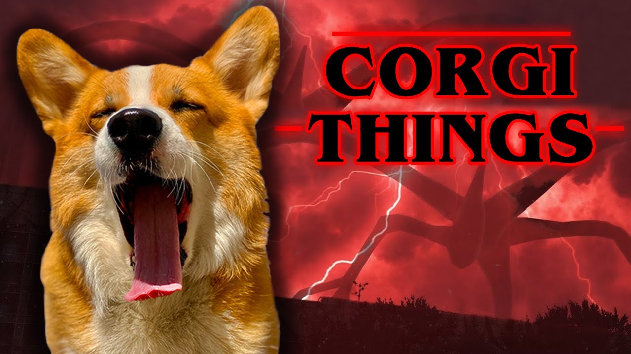 Corgi vs Vecna's Curse! 🐶