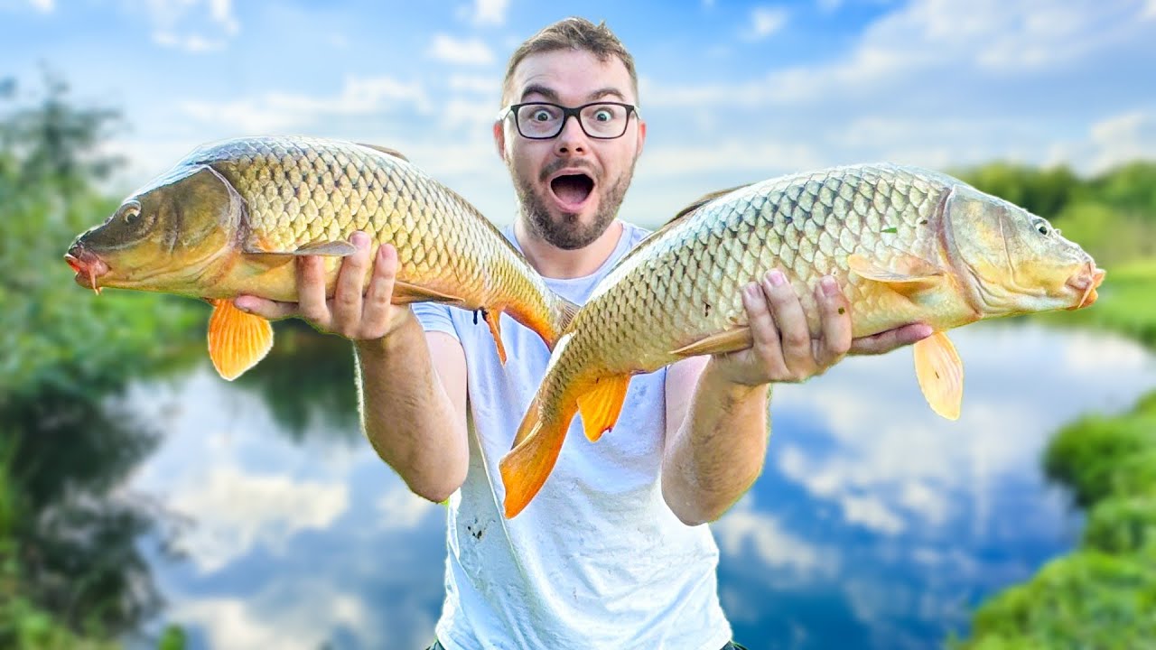 Pêche de GROSSES CARPES dans ce lac envahi de Brochets 🎣