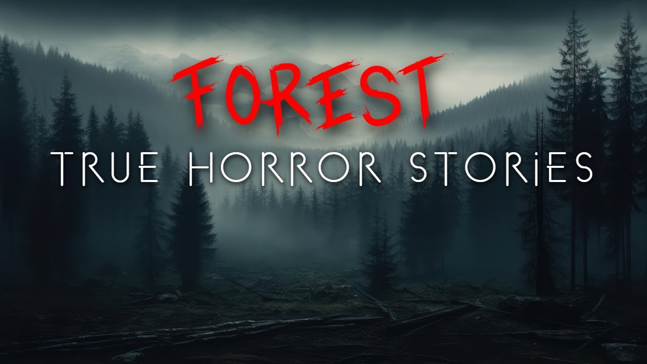 3 Chilling Forest Camping Horror Stories 🌲