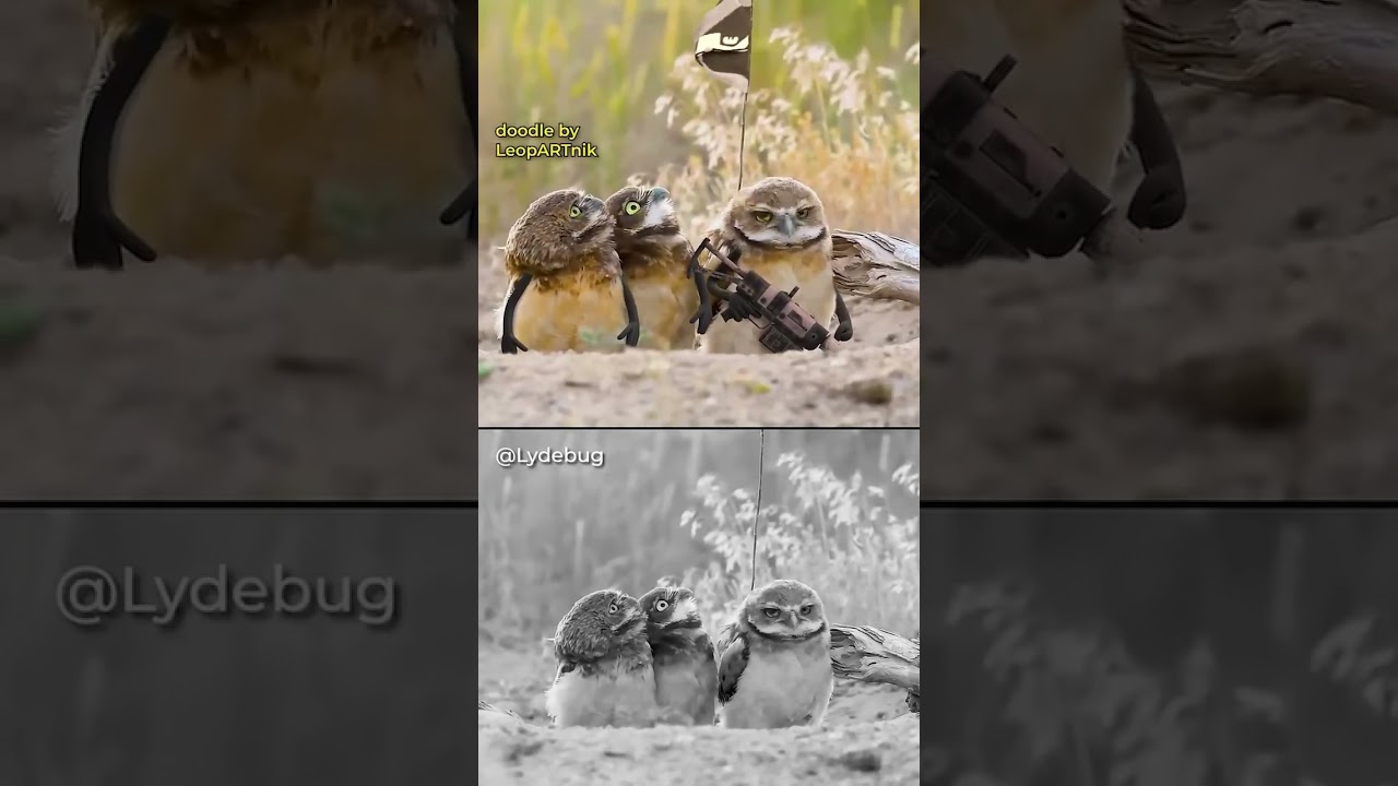 Birds with Arms: The Hilarious New Meme 😄