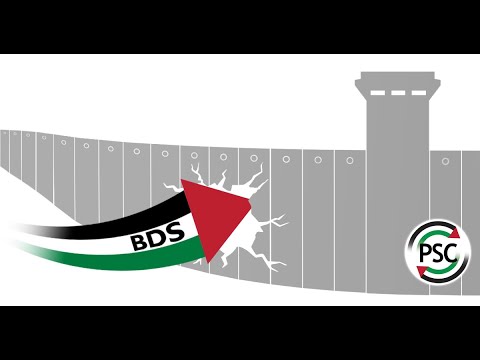 Israël : La réalité de l'apartheid 🇵🇸