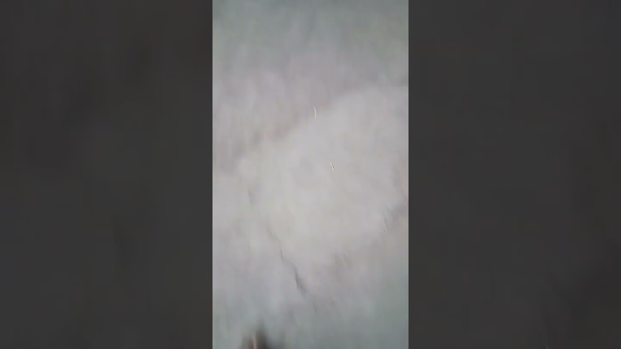 Viral Video of Patna Junction Red Light Area 🚦