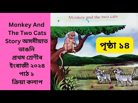 Class 1 English: Monkey & Two Cats Chapter 🐒