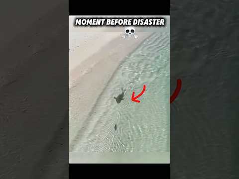 Moment before cooked ☠️