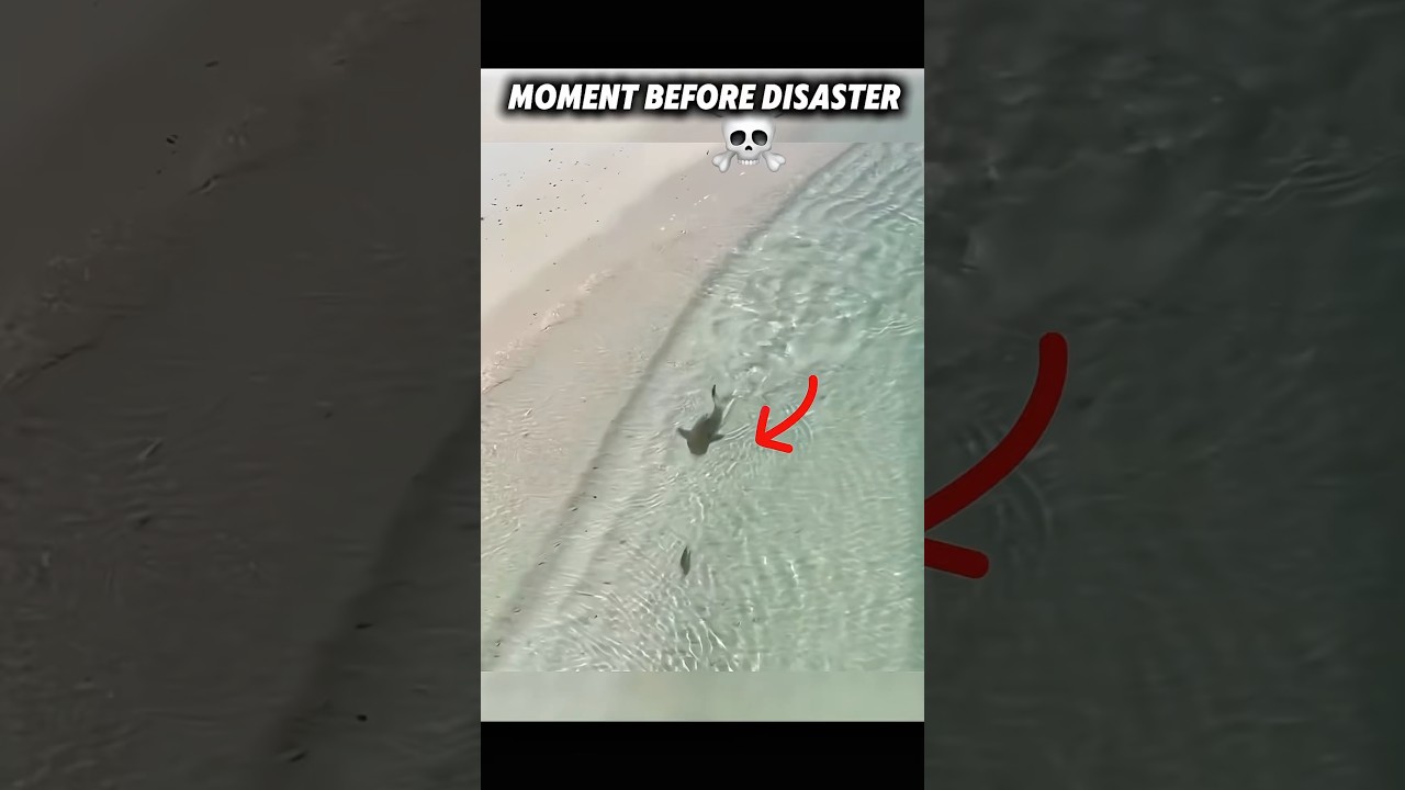 Epic Troll Face Edits: The Moment Before Disaster 😱