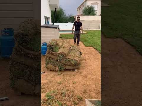 The difference between artificial grass and real grass. #landscape #artificialgrass #lawncare