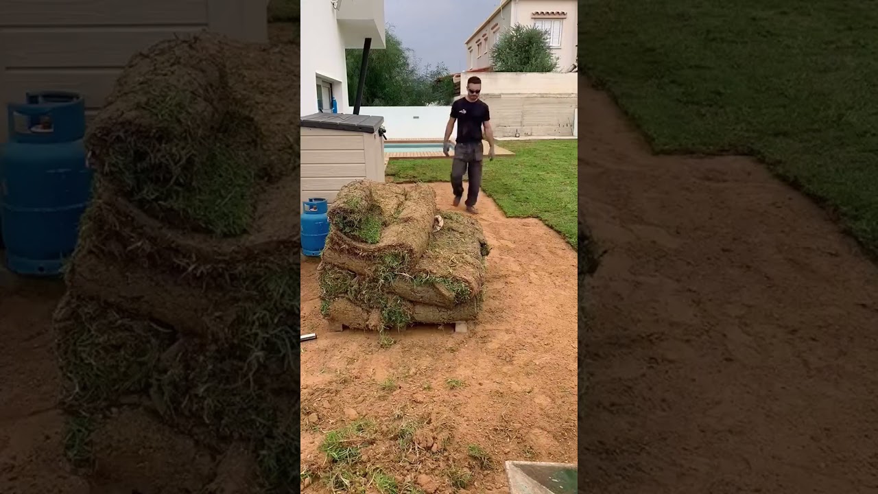 Artificial vs. Real Grass: Which Is Better for Your Lawn? 🌱