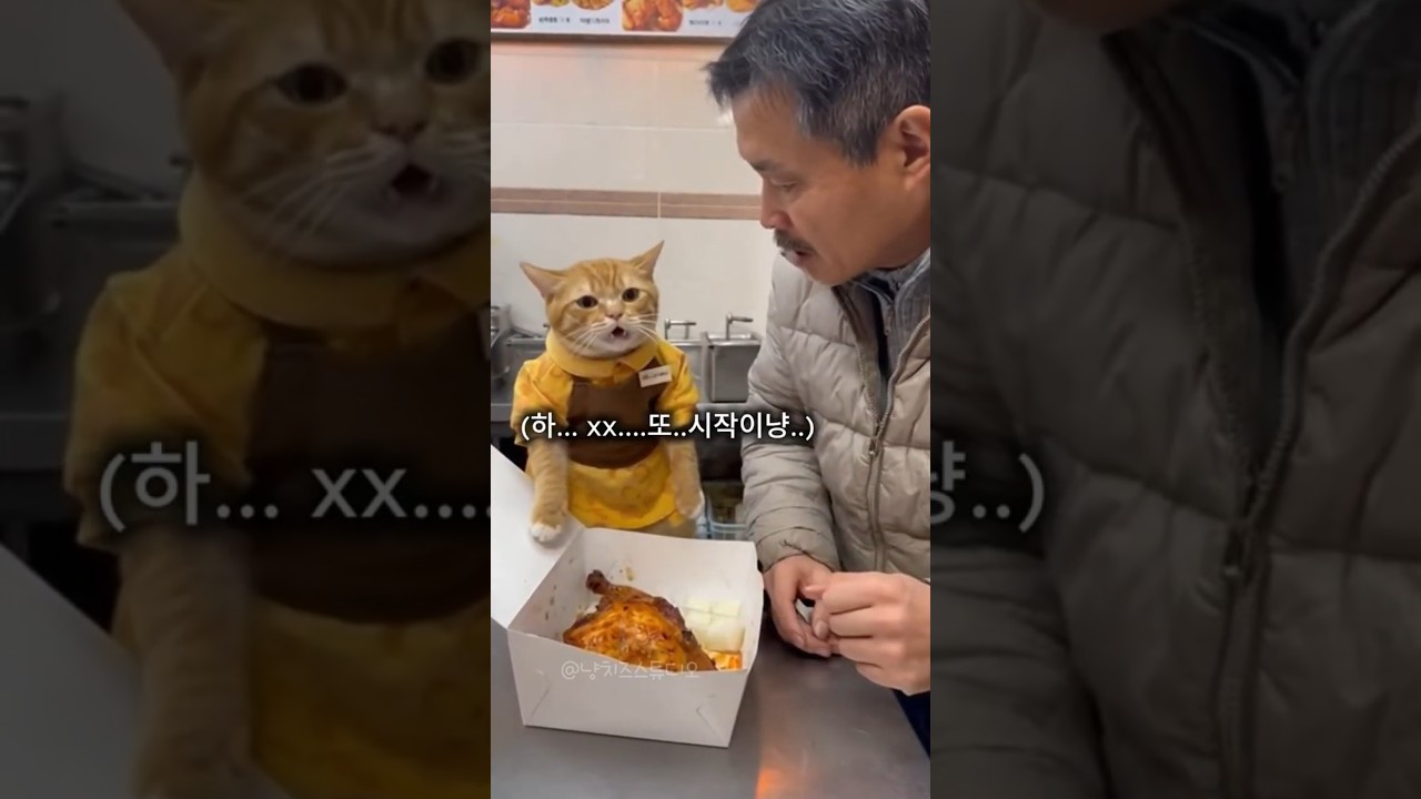 고양이 알바, 진상 손님에 폭발! 😾