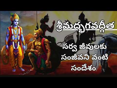 శ్రీమద్భగవద్గీత భాగం 231   Sri madbhagavatgita   Vedanta Advaita #hindu #telugugita#paramathmabodha
