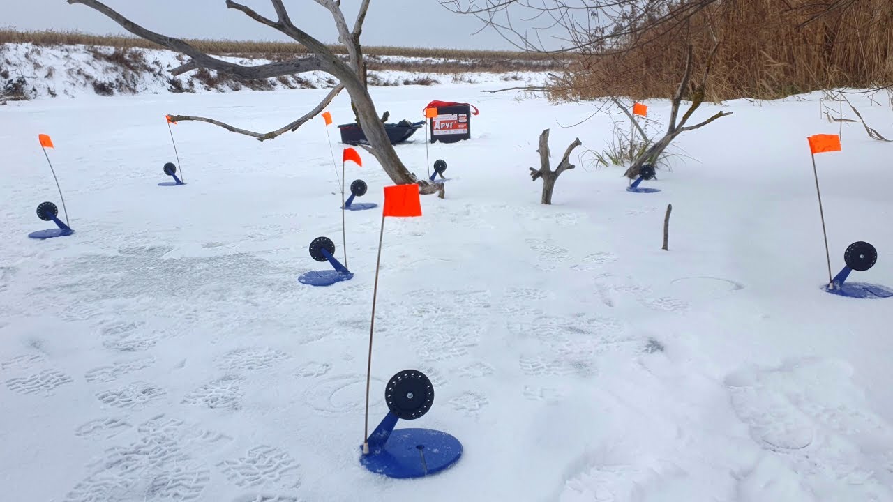 Удачная рыбалка на жерлицы: щука радует в новом месте 🎣