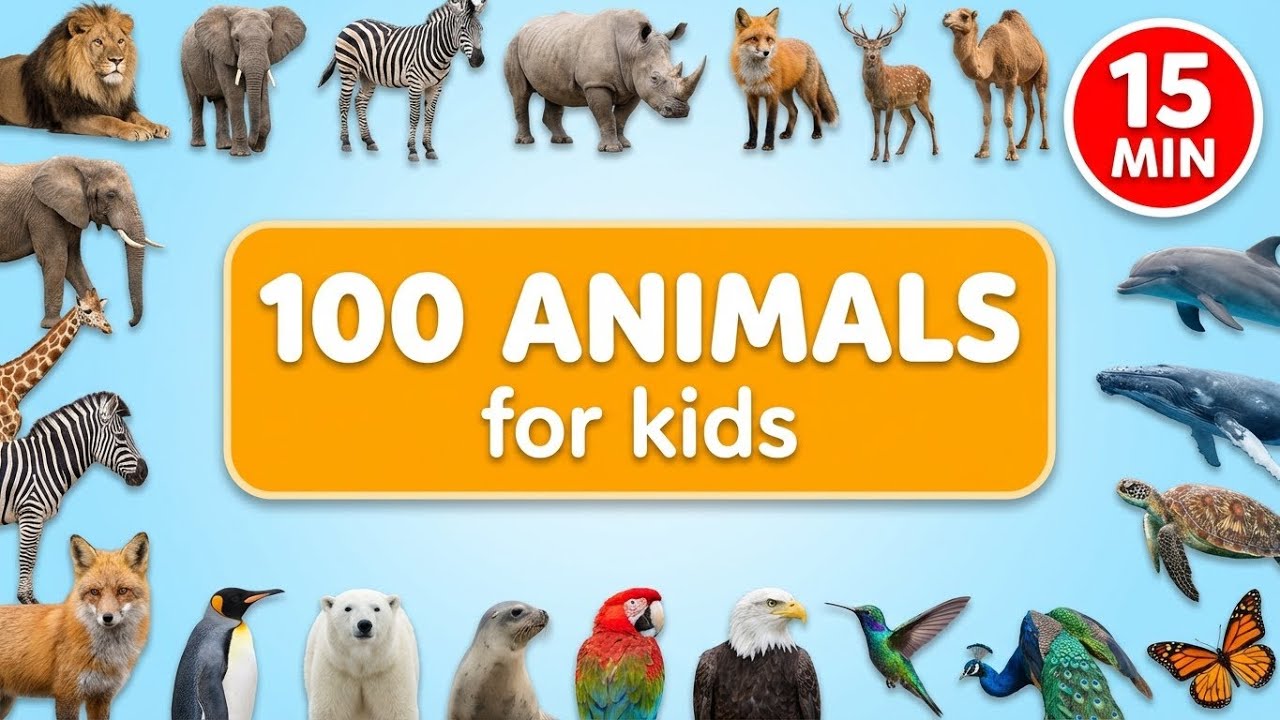 100 Animals for Kids | Learn Wild, Sea, Forest & Desert Animal Names Around the World