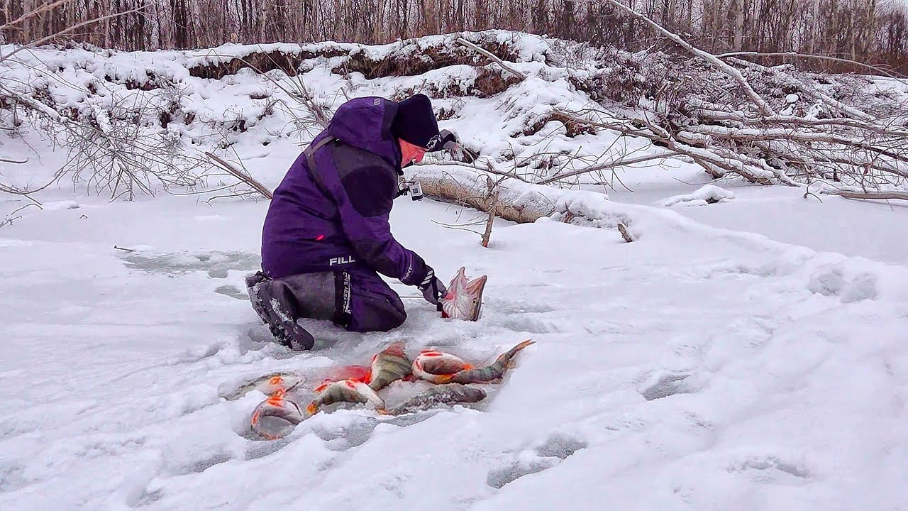 ТА САМАЯ ЛУНКА, КОТОРУЮ Я ИСКАЛ! Поклёвка, которую не забыть! Рыбалка на балансиры в коряжнике