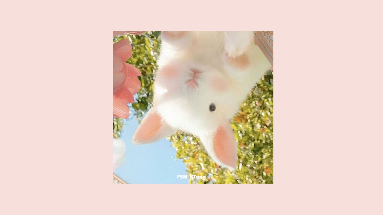 THAISUB | 不是花火呀 ft. 桶 - 心引力 (Gravity) 🎶