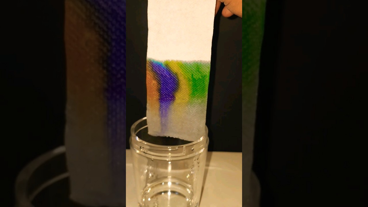 Paper Chromatography Chemistry Experiment 🧪