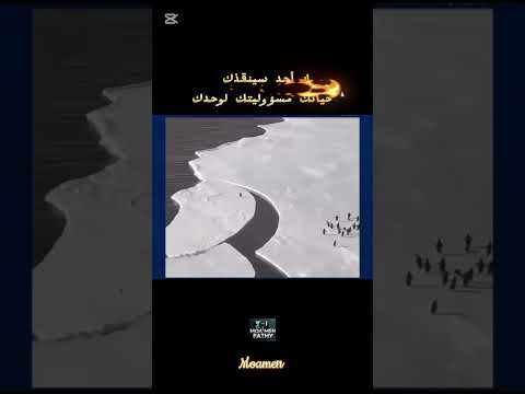 محدش هيشيلك #اكسبلور #اهميه #لايك #الظروف #ترند #حب_نفسك #عبارات