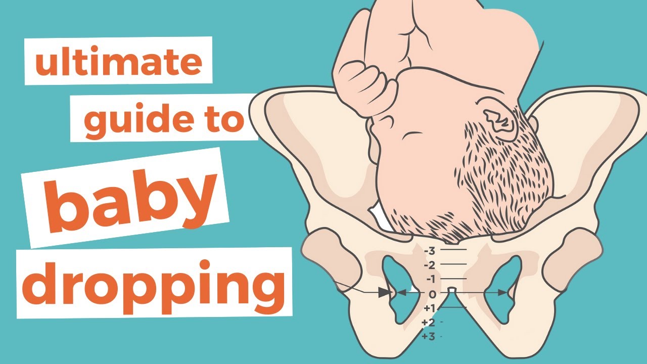 Top Baby Dropping Questions Answered in 5 Minutes 🤰