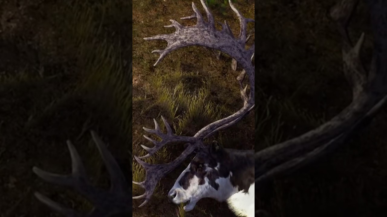 Epic 5-Star Piebald Reindeer Trophy! π¦