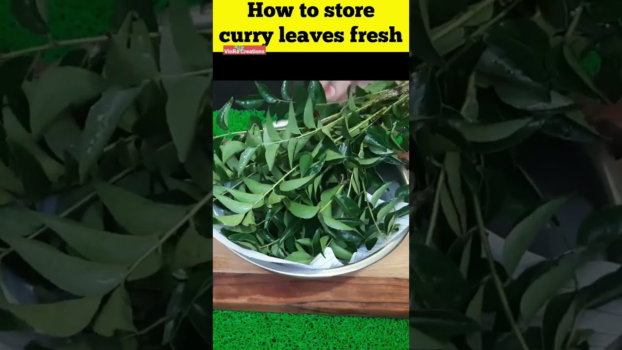 Store Curry Leaves Fresh for Days Without a Fridge 🌿