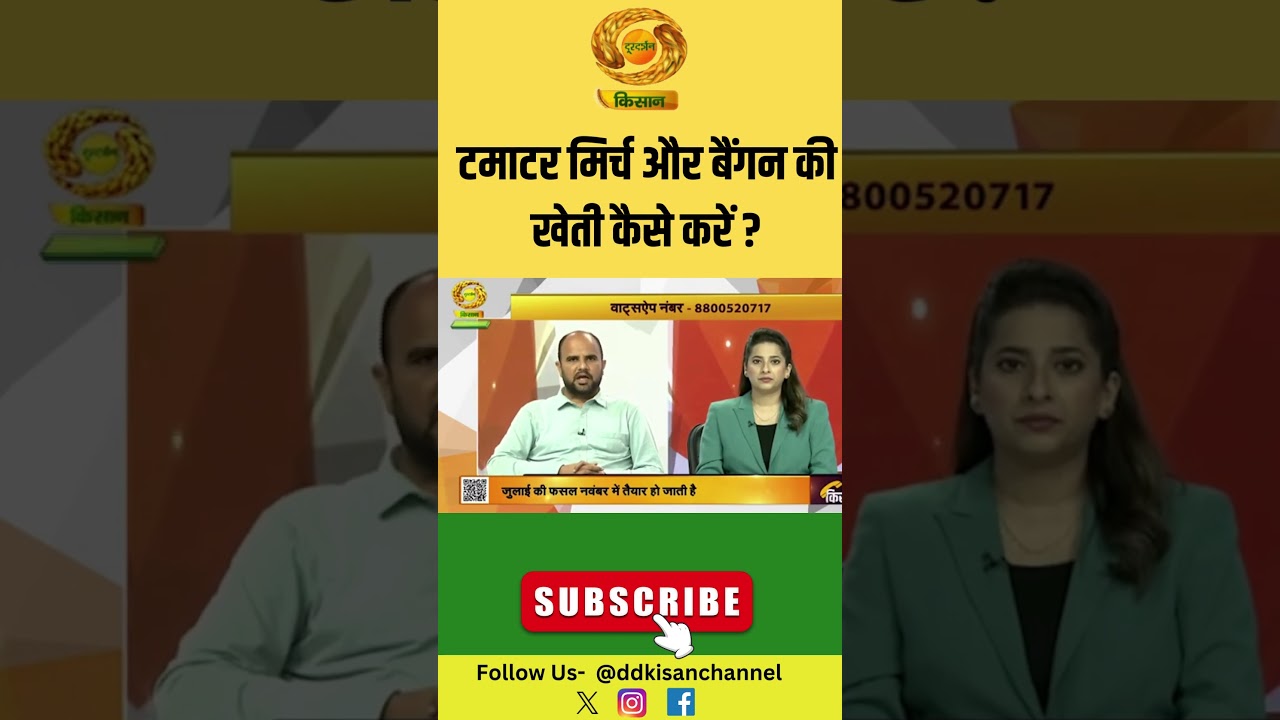 टमाटर, मिर्च और बैंगन की खेती कैसे करें 🌱