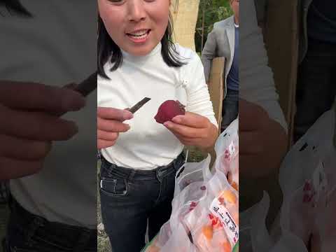 Beautiful Nature - Inspur Fresh Fruit wonderful video of Industry #5887