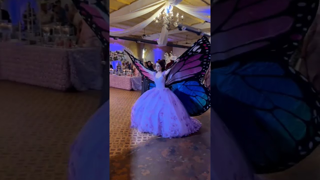 Elegant Butterfly Gown Collection 💜✨ | Stunning Gown Designs & Cutting Tips