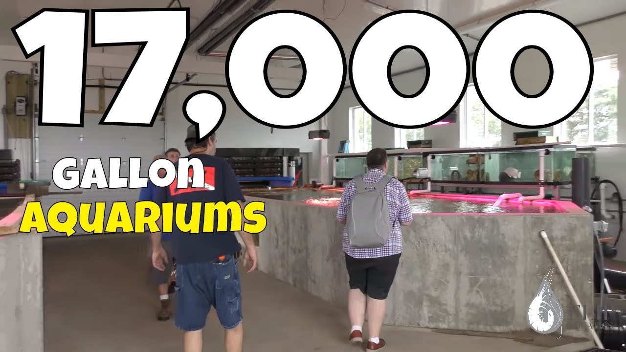 Massive 17,000-Gallon Aquariums on a Private Farm 🐟