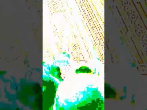 Catriona Gray in Stunning Miss Universe 2018 Gown 😍