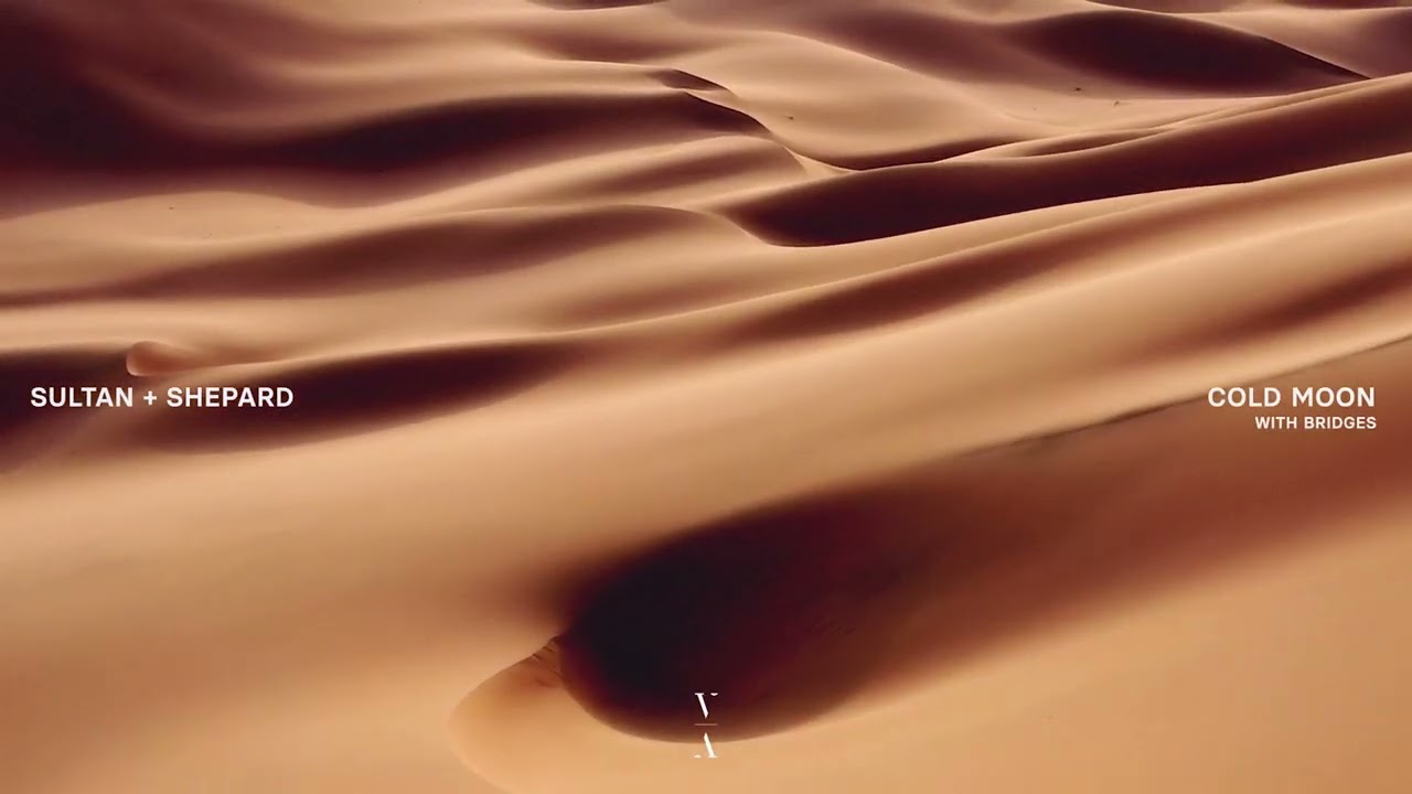 Cold Moon and Bridges 🌕